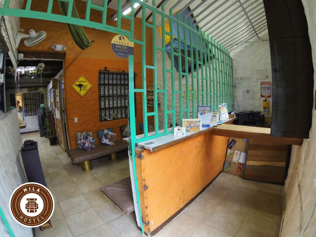 Mila Hostel Medellín Extérieur photo